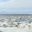 Синоптики прогнозируют ледоход на Амуре у Хабаровска 18 апреля - Охотский район